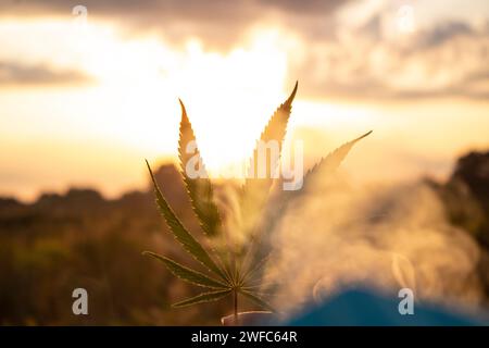 Foglia di cannabis in mano al sole che tramonta su sfondo sfocato Foto Stock