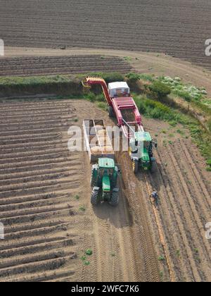 Vista aerea dei trattori che raccolgono le patate, Pembrokeshire Galles Regno Unito Foto Stock