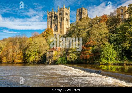 Colorato bosco autunnale, l'Old Fulling Mill e la Cattedrale di Durham a novembre sulle rive del fiume Wear, Durham, Inghilterra, Regno Unito Foto Stock