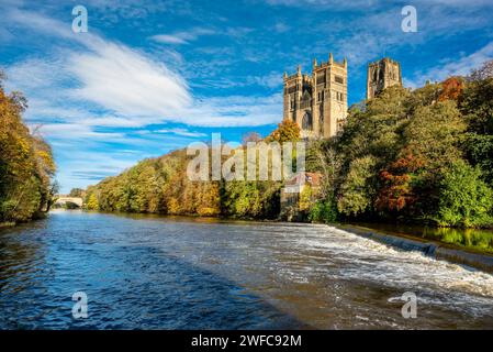 Colorato bosco autunnale, l'Old Fulling Mill e la Cattedrale di Durham a novembre sulle rive del fiume Wear, Durham, Inghilterra, Regno Unito Foto Stock