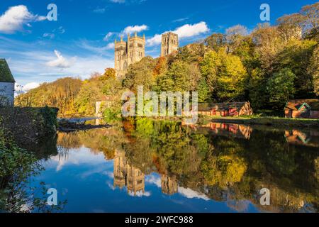 Colorato bosco autunnale e Cattedrale di Durham a novembre sulle rive del fiume Wear, Durham, Inghilterra, Regno Unito Foto Stock