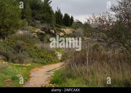 Un sentiero inondato dalla pioggia, nelle montagne della Giudea, vicino a Gerusalemme, Israele, in un giorno invernale coperto. Foto Stock