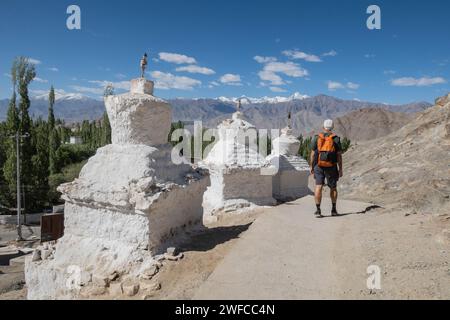 Vista della catena montuosa Stok da Shanti Stupa, Leh, Ladakh, India Foto Stock