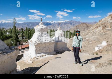 Vista della catena montuosa Stok da Shanti Stupa, Leh, Ladakh, India Foto Stock