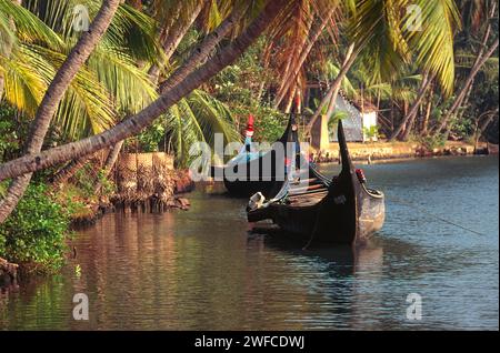 Barche da pesca tradizionali ormeggiate in un canale del Kerala che fa da backwaters in India Foto Stock