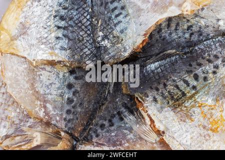 Sfondo a strisce gialle asciutte salate. Schema di pesci piccoli secchi, carta da parati per snack selaroides, spuntini di birra di stoccafisso, ripieno asciutto Foto Stock