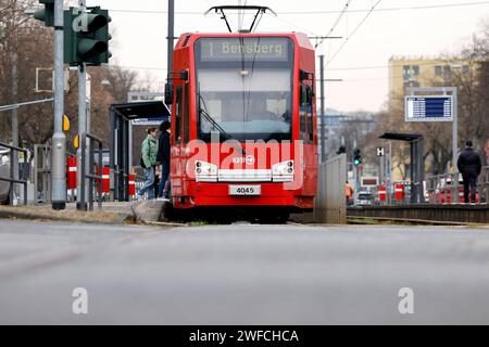 Verdi wird am Freitag Straßenbahnen und Busse in NRW und fast bundesweit lahmlegen. Fahrgäste von Unternehmen wie Rheinbahn, KVB oder NEW werden von dem Streik betroffen Sein. Im Bild eine KVB-Bahn der Linie 1 auf der Aachener Straße in Köln unterwegs zur Endstation Bensberg. Themenbild, Symbolbild Köln, 30.01.2024 NRW Deutschland *** Verdi paralizzerà tram e autobus in NRW e quasi a livello nazionale il venerdì passeggeri di compagnie come Rheinbahn, KVB o NEW sarà influenzato dallo sciopero nella foto un treno KVB della linea 1 su Aachener Straße a Colonia sulla strada per il capolinea Foto Stock