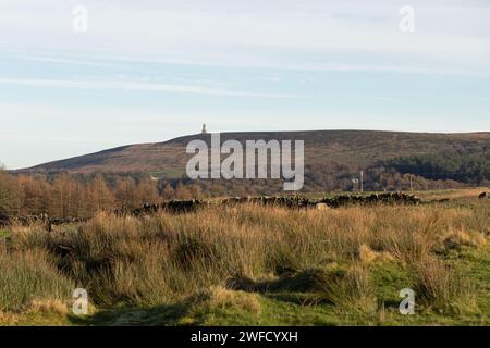 Darwen Tower, vista da Roddlesworth Moor, le West Pennine Moors, Lancashire, Inghilterra Foto Stock