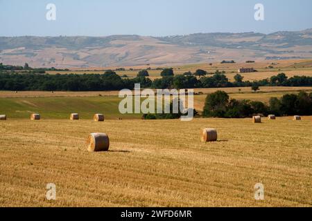 Paesaggio di campagna nei pressi di Oppido Lucano e San Chirico, in provincia di potenza, Basilicata, Italia Foto Stock