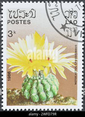 Francobollo cancellato stampato dal Laos, che mostra Notocactus crassigibbus, circa 1986. Foto Stock