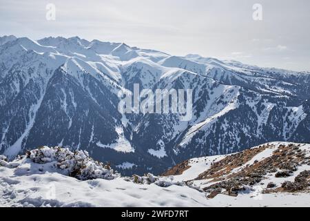 Vista panoramica dalla cima della pista sulle alte montagne innevate. Karakol Gorge, stazione sciistica in Kirghizistan. Paesaggio naturale invernale, catena montuosa Foto Stock