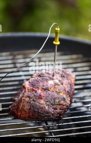 Misurazione del calore in Una bistecca Foto Stock