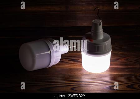 Due lampadine a LED di emergenza bianche con batteria integrata. Foto Stock