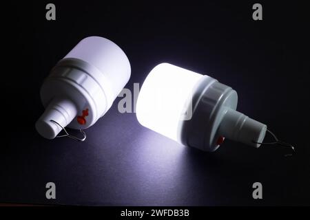 Due lampadine a LED di emergenza bianche con batteria integrata. Foto Stock
