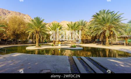 Mar morto, Israele - 18 gennaio 2024: Vista di una piscina per bambini, con palme e scogliere, nella riserva naturale di Einot Tzukim (Ein Feshkha), sul North Wes Foto Stock