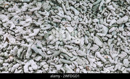 Frammenti di corallo morti che giacciono su una spiaggia, struttura spiaggia, spiaggia rocciosa. Consistenza di pietre di ciottoli pavimento in quarzo rosso e nero. Corallo con guscio sul becco soleggiato Foto Stock