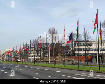 Fila di bandiere di paese davanti al Forum Mondiale l'Aia, Paesi Bassi Foto Stock