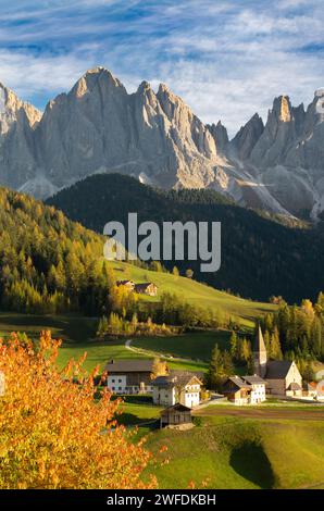 Ciliegio Val di Funes Foto Stock