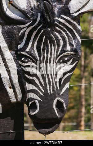 Equus burchellii - scultura zebra attaccata a palo di legno su recinzione di animali in un rifugio per animali. Foto Stock