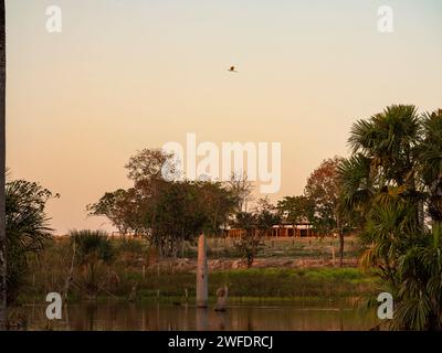 Tramonto intorno allo stagno in una fattoria nel Brasile rurale Foto Stock
