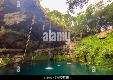 Il bellissimo Cenote Zaci a Valladolid, Messico Foto Stock