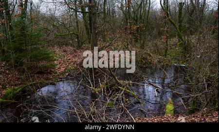 Area fortezza di Douaumont, regione di Verdun, Mosa, Francia Foto Stock