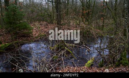 Area fortezza di Douaumont, regione di Verdun, Mosa, Francia Foto Stock