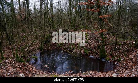 Area fortezza di Douaumont, regione di Verdun, Mosa, Francia Foto Stock