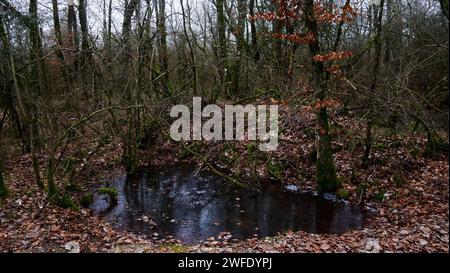 Area fortezza di Douaumont, regione di Verdun, Mosa, Francia Foto Stock