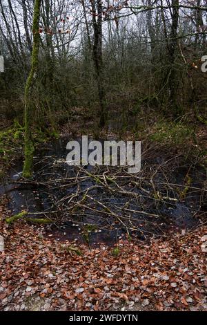 Area fortezza di Douaumont, regione di Verdun, Mosa, Francia Foto Stock