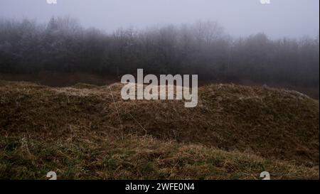 Area fortezza di Douaumont, regione di Verdun, Mosa, Francia Foto Stock