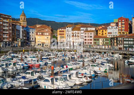 Centro storico e porto di pesca di Bermeo, nella provincia di Biscaglia, Paesi Baschi, Spagna settentrionale. Bermeo è un comune situato sulla costa di Bizkaia, in Bus Foto Stock