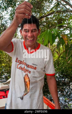Riserva Pacaya Samiria, Perù, Sud America. Uomo che mostra i denti taglienti di un Piranha rosso catturato nel fiume Ucayali nel bacino amazzonico Foto Stock