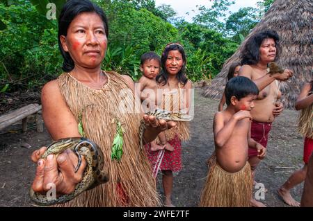 Serpenti e coccodrilli, gli indiani yagua vivono una vita tradizionale vicino alla città amazzonica di Iquitos, in Perù. Yagua, Yahuna, Ñihamwo, Yihamwo, Nihamwo Foto Stock