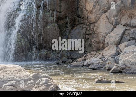 Gli alligatori riposano sulle rocce del fiume alle cascate Awash ad Afar, nell'Etiopia settentrionale Foto Stock