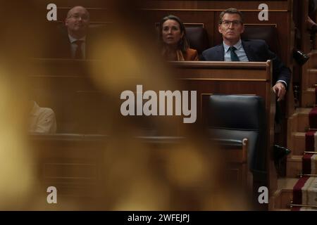 Madrid Spagna; 01/30/2024.- il Congresso dei deputati spagnoli vota contro la legge di amnistia per i politici catalani, il partito catalano Juns per Catalunya ha votato contro. Avranno a disposizione da 15 giorni a un mese in più per discutere gli emendamenti già registrati, prima di ritornare in Plenaria per la votazione finale. Foto: Juan Carlos Rojas Foto Stock