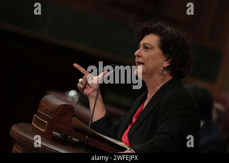 Madrid Spagna; 01/30/2024.- il Congresso dei deputati spagnoli vota contro la legge di amnistia per i politici catalani, il partito catalano Juns per Catalunya ha votato contro. Avranno a disposizione da 15 giorni a un mese in più per discutere gli emendamenti già registrati, prima di ritornare in Plenaria per la votazione finale. Foto: Juan Carlos Rojas Foto Stock