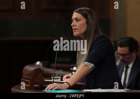 Madrid Spagna; 01/30/2024.- il Congresso dei deputati spagnoli vota contro la legge di amnistia per i politici catalani, il partito catalano Juns per Catalunya ha votato contro. Avranno a disposizione da 15 giorni a un mese in più per discutere gli emendamenti già registrati, prima di ritornare in Plenaria per la votazione finale. Foto: Juan Carlos Rojas Foto Stock