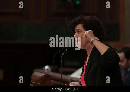 Madrid Spagna; 01/30/2024.- il Congresso dei deputati spagnoli vota contro la legge di amnistia per i politici catalani, il partito catalano Juns per Catalunya ha votato contro. Avranno a disposizione da 15 giorni a un mese in più per discutere gli emendamenti già registrati, prima di ritornare in Plenaria per la votazione finale. Foto: Juan Carlos Rojas Foto Stock