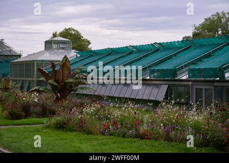 Amazonian Ecosystem Enchantment: Nature's Wonders in the Botanical Greenhouse. Botanic Rainforest Marvel: Esplorando la flora amazzonica nel Foto Stock