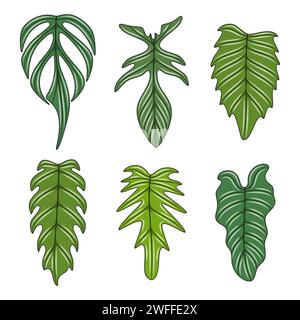 Set di illustrazioni a colori con foglie di piante superidratanti monstera. Oggetti vettoriali isolati su sfondo bianco. Illustrazione Vettoriale