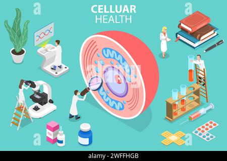 Illustrazione concettuale del vettore piatto isometrico 3D della salute cellulare, ricerca di laboratorio, struttura cellulare umana. Illustrazione Vettoriale