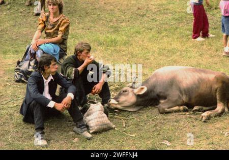 Gente del posto con una mucca a una fiera di campagna nella contea di Vrancea, Romania, circa 1992 Foto Stock