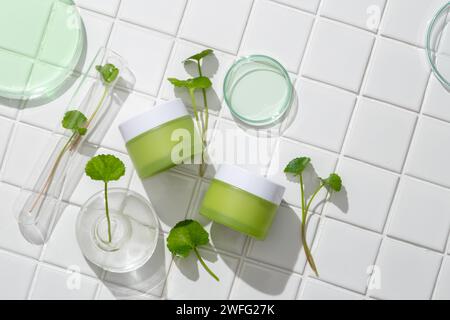 Contenitori cosmetici verdi esposti con piastra di Petri in vetro e foglie di kola di gotu. Trattamento di bellezza cura della pelle medica e lozione cosmetica crema mockup pac Foto Stock