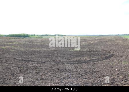 Campo agricolo con tracce delle macchine agricole Foto Stock