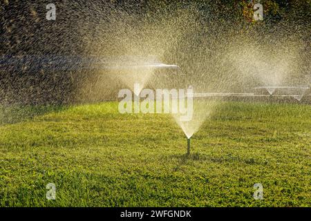 Sistema automatico di innaffiatura del prato che annaffia il prato verde nel parco durante il giorno. Foto Stock