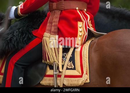 LONDRA, Regno Unito - 12 GIUGNO 2010: Dettaglio uniforme su Mounted Officer of the Irish Guards alla parata Trooping of the Colour Foto Stock