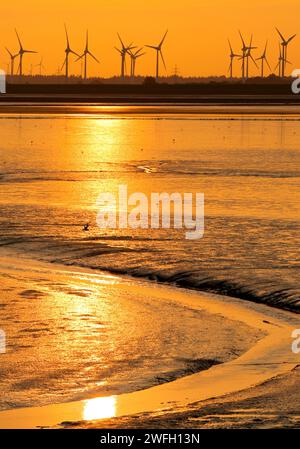 Paesaggio di Wadden e molte turbine eoliche nelle paludi al tramonto, Germania, bassa Sassonia, Frisia orientale, Norddeich Foto Stock