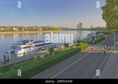 Reno e Brassertufer con il catamarano Filia Rheni a Bonn, Germania, Renania settentrionale-Vestfalia, Renania, Bonn Foto Stock