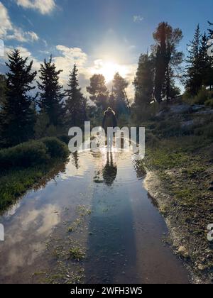 Un escursionista cammina sopra una pozzanghera in un sentiero nella foresta del Monte La riserva naturale Eitan in Sataf si trova nel cuore della zona delle colline di Gerusalemme, Israelel Foto Stock